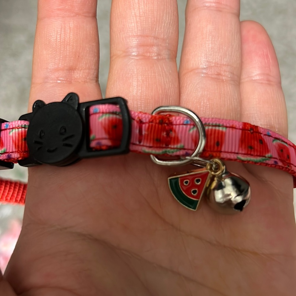 Two cat collars - Picture 2 of 3